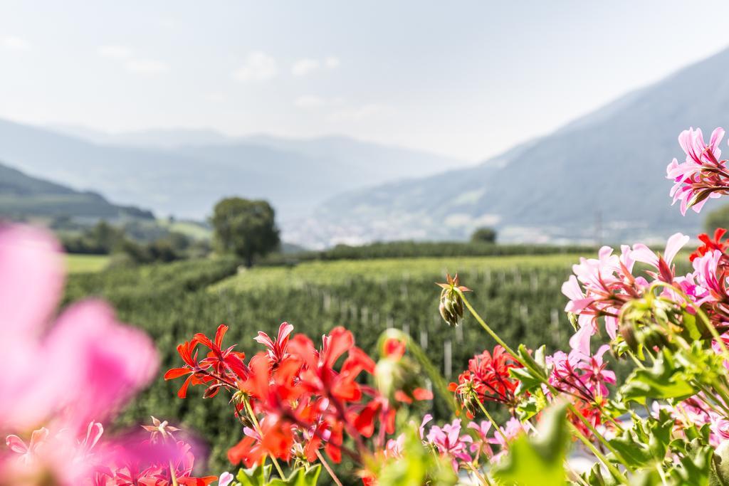 Tirolerhof Pension Natz-Schabs エクステリア 写真
